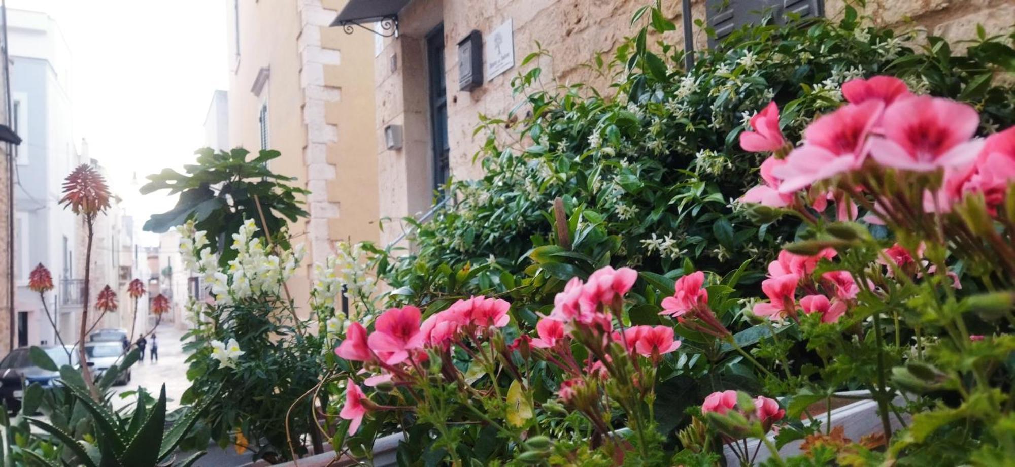 مبيت وإفطار كونفيرسانو Dimora Delle Badesse المظهر الخارجي الصورة